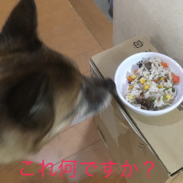 c0123890_2014494.jpg