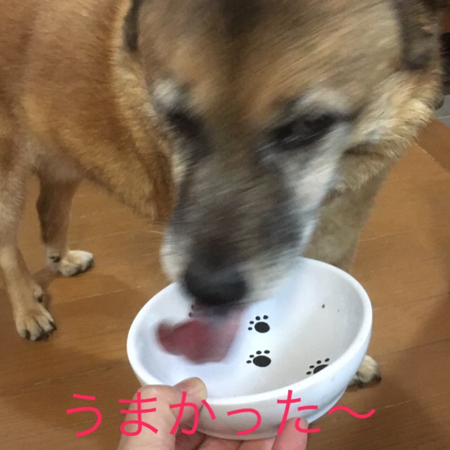 c0123890_2022594.jpg