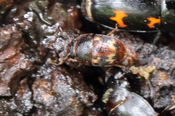 c0369491_01105849.jpg
