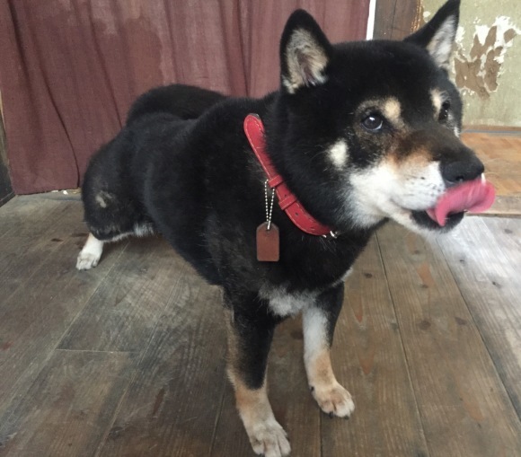 b0188998_13114642.jpeg
