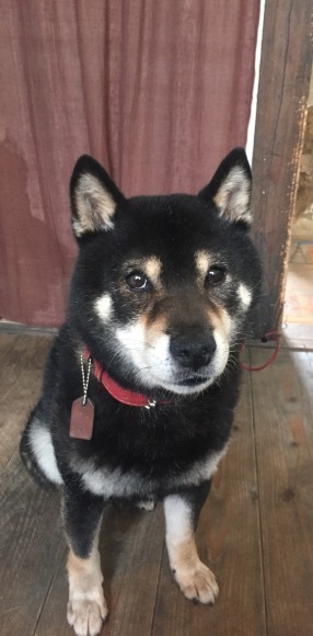 b0188998_13121672.jpeg