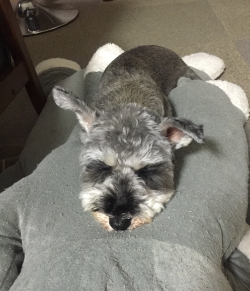 b0188998_13180946.jpeg