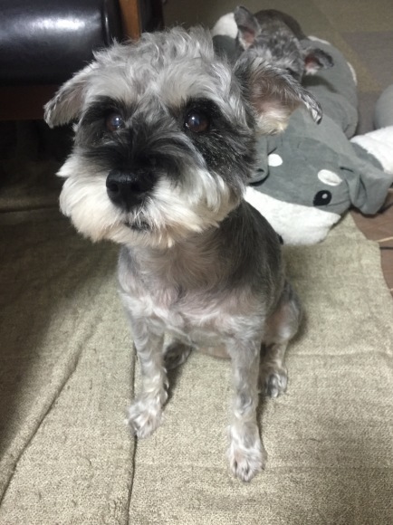 b0188998_13182161.jpeg