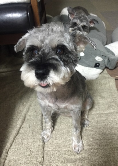 b0188998_13183513.jpeg