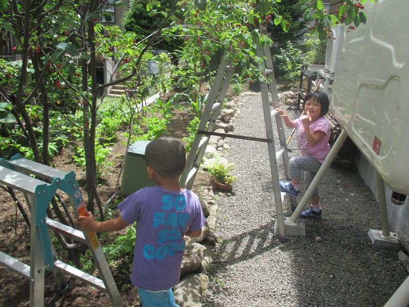 f0202703_2220576.jpg
