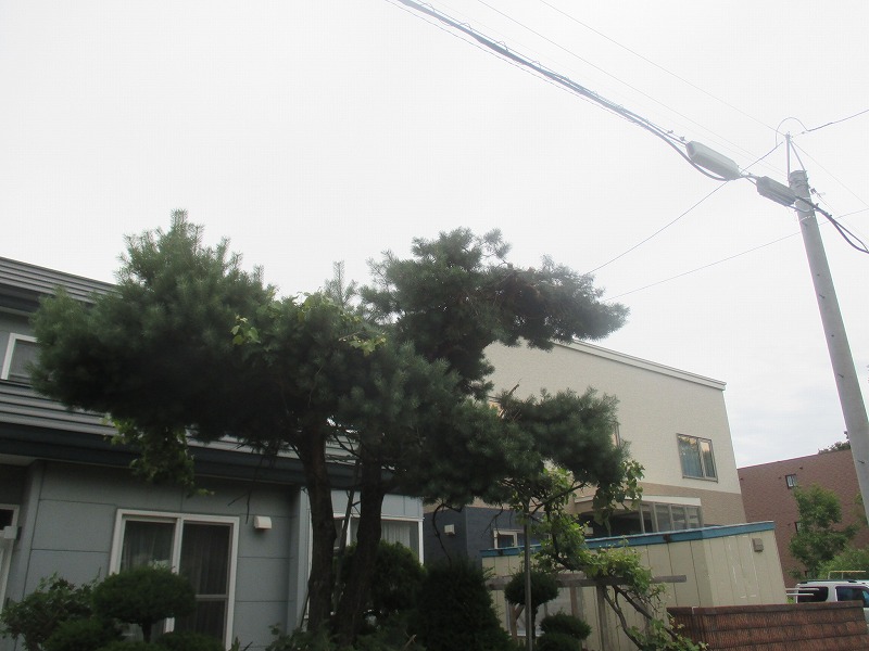 f0202703_22385030.jpg