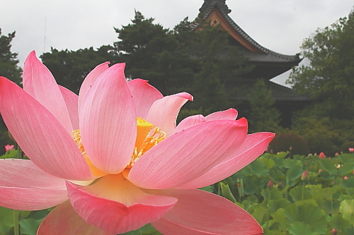 a0251508_1125345.jpg
