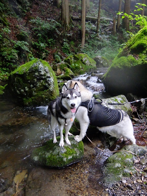 b0207615_21204427.jpg