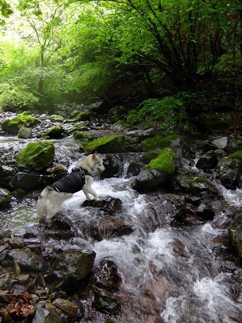 b0207615_21204984.jpg
