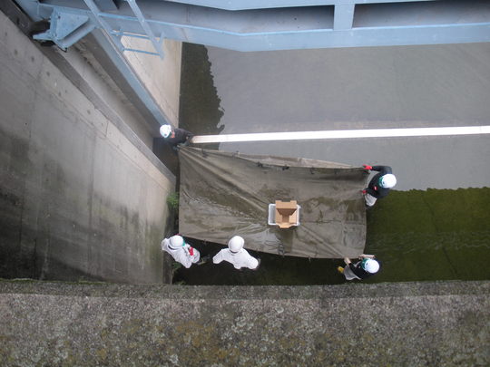 c0003217_6404440.jpg