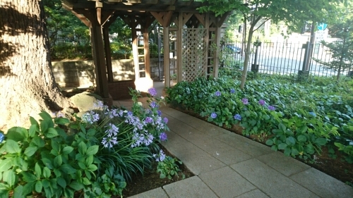f0182618_12340251.jpg