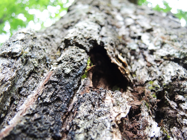c0346119_22173348.jpg