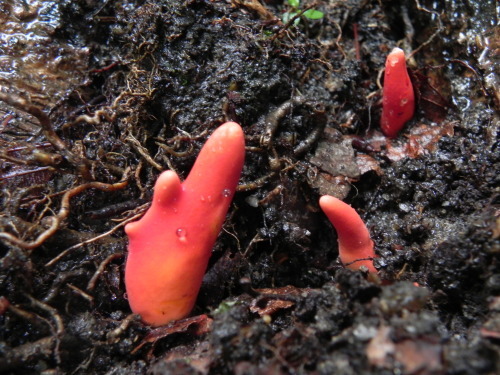 e0352220_21445708.jpg