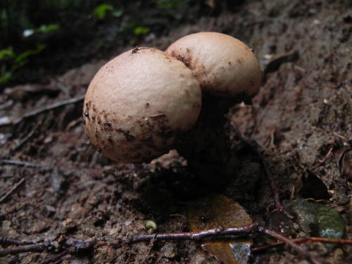 e0352220_21500973.jpg