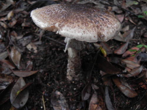 e0352220_21550499.jpg