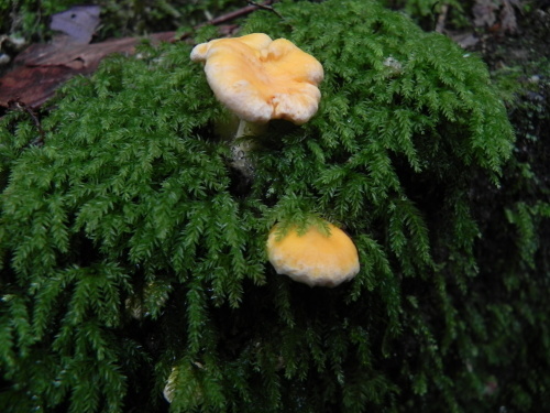 e0352220_22004845.jpg