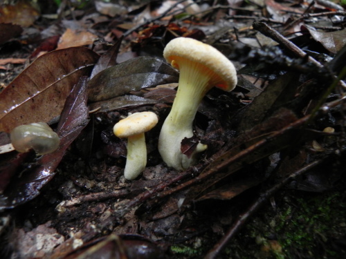 e0352220_22014178.jpg