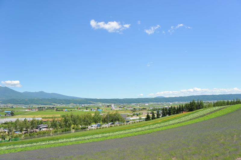 d0146423_19461555.jpg