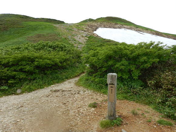 f0118332_01334372.jpg