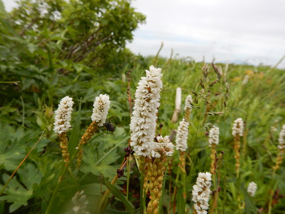 f0118332_1251094.jpg
