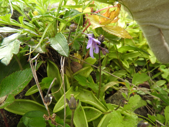 f0118332_1261441.jpg