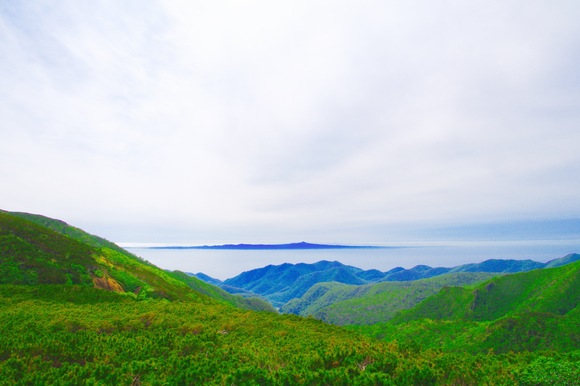 d0235646_1475683.jpg
