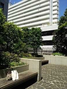 f0043559_1739305.jpg