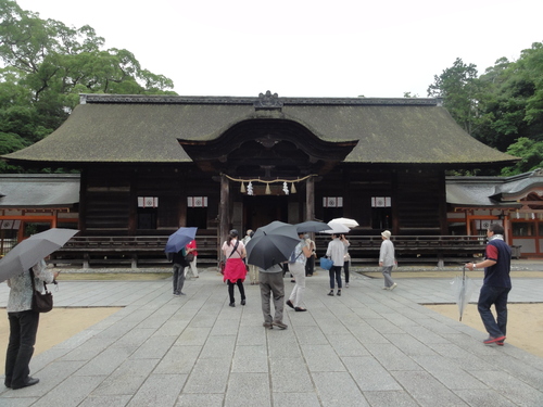 d0029363_1759061.jpg