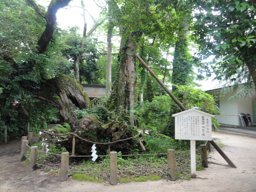 d0029363_1804939.jpg