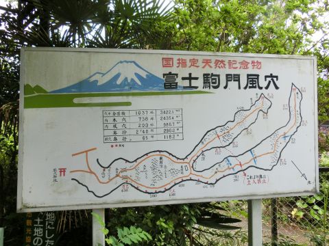 e0045768_21411132.jpg