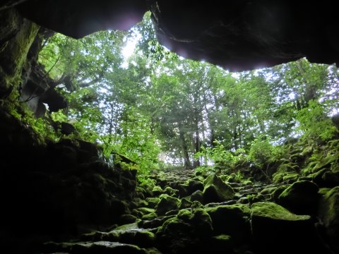 e0045768_2149231.jpg