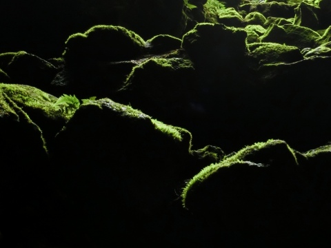 e0045768_21493910.jpg