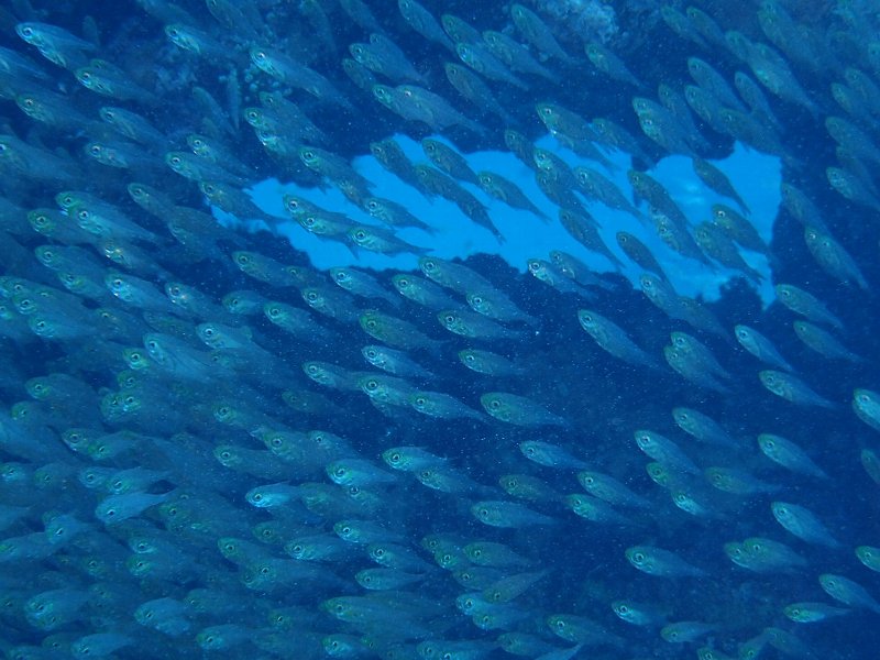 a0160373_8291332.jpg