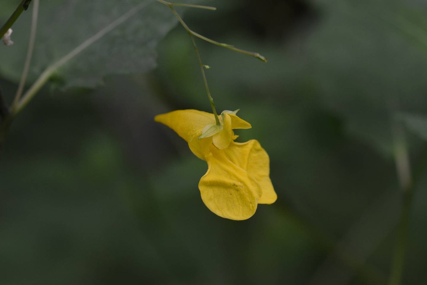 d0328977_14461527.jpg