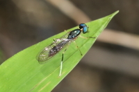 c0369491_12394952.jpg