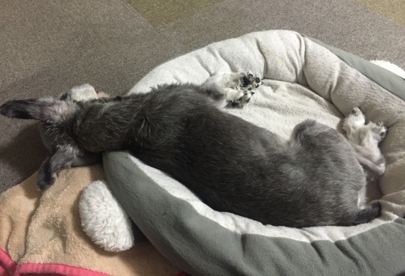 b0188998_22313365.jpeg