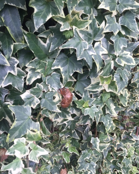 b0188998_22314611.jpeg