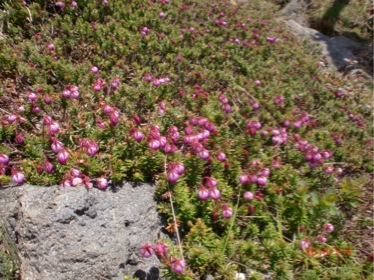 c0151898_1521553.jpg