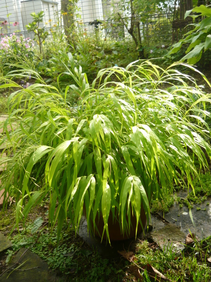 a0139007_09282595.jpg