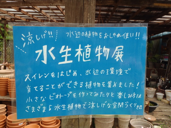a0139007_10595511.jpg