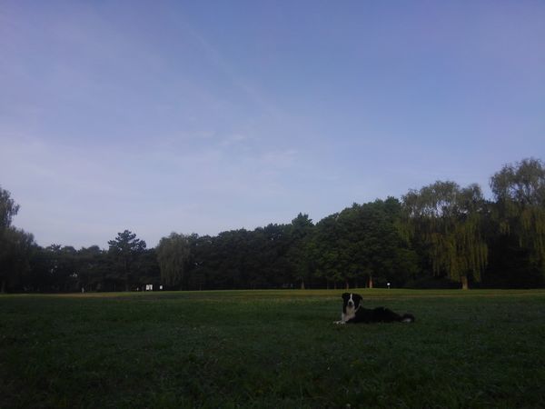 d0224111_19490338.jpg
