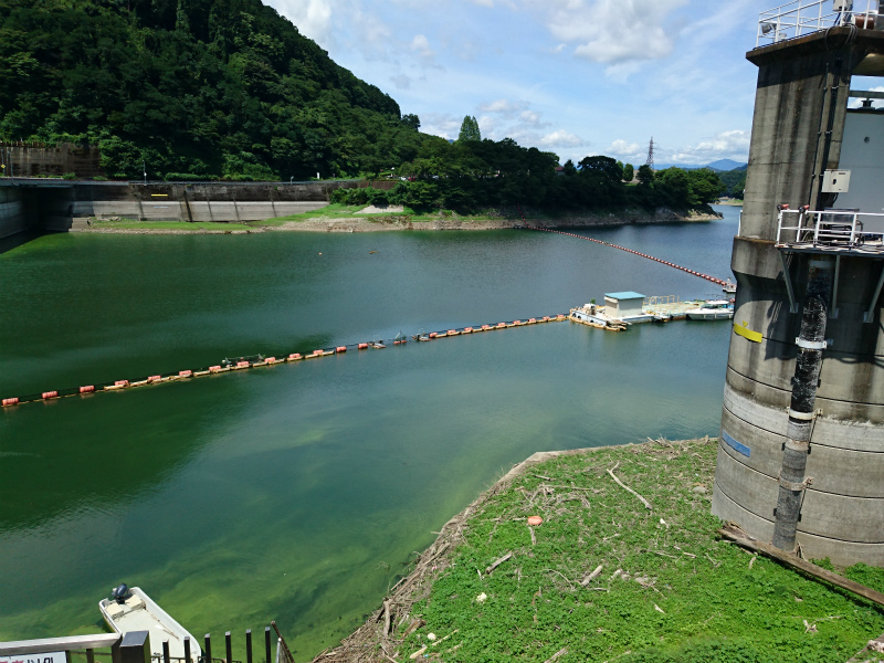 f0100911_21203084.jpg