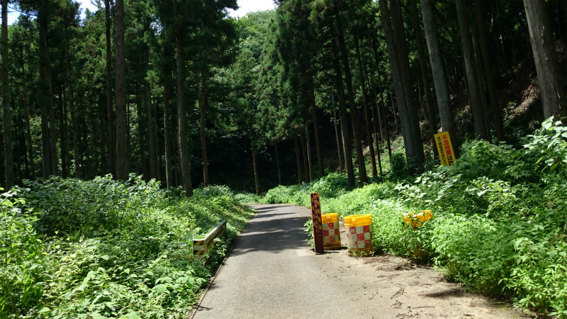 f0100911_2132253.jpg