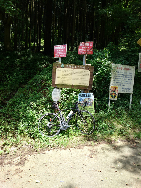 f0100911_2133511.jpg