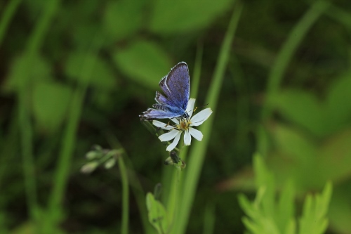 e0242721_821145.jpg