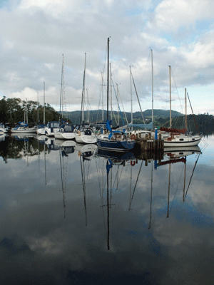 e0312121_23274839.gif