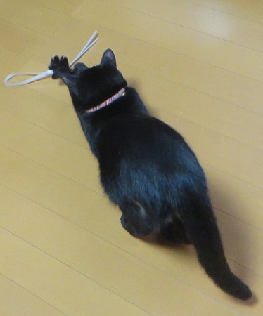 c0280322_17562245.jpg