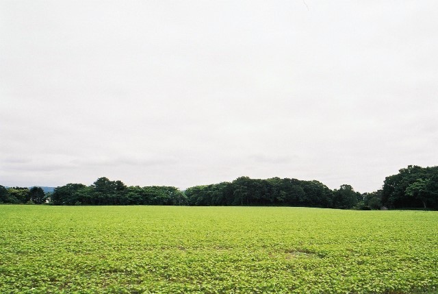 f0362725_14363401.jpg