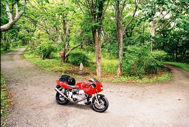f0362725_14442174.jpg