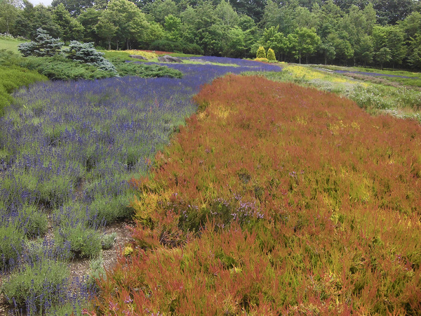 c0233141_9225114.jpg